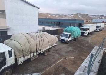 Хүчтэй шуурганы улмаас орон гэргүй болсон айлуудад гэр олгоно