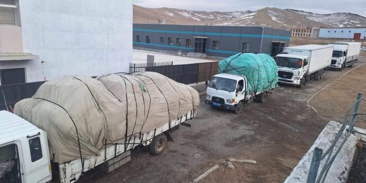 Хүчтэй шуурганы улмаас орон гэргүй болсон айлуудад гэр олгоно