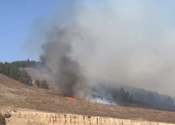 Сэлэнгэ аймагт гарсан түймрийг унтраахаар ажиллаж байна