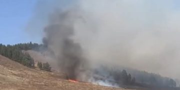 Сэлэнгэ аймагт гарсан түймрийг унтраахаар ажиллаж байна