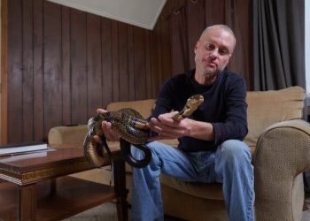 18 жилийн турш могойн хорд өөрийгөө хордуулсан эрийн цуснаас могойн хорын эсрэг ерөндөг бүтээнэ