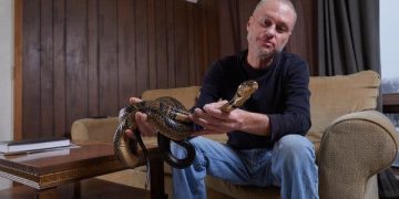 18 жилийн турш могойн хорд өөрийгөө хордуулсан эрийн цуснаас могойн хорын эсрэг ерөндөг бүтээнэ