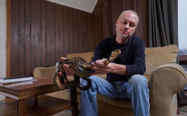 18 жилийн турш могойн хорд өөрийгөө хордуулсан эрийн цуснаас могойн хорын эсрэг ерөндөг бүтээнэ