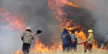 Төв аймгийн 17 сум, нийслэлийн 2 дүүрэг түймэрт өртөх магадлал маш өндөр үнэлэгджээ