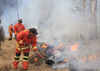 Сэлэнгэ аймгийн Ерөө сум дахь түймрийн голомтод салхитай байна