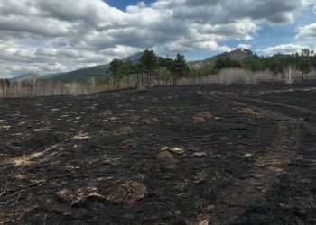 Норовлин суманд гарсан ой хээрийн түймрийг бүрэн унтраалаа