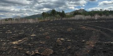 Норовлин суманд гарсан ой хээрийн түймрийг бүрэн унтраалаа