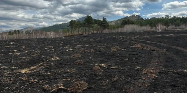 Норовлин суманд гарсан ой хээрийн түймрийг бүрэн унтраалаа