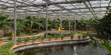 Улаанбаатар хотод дөрвөн улирлын хүлэмж байгуулна