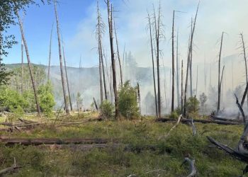 Улсын хэмжээнд 5 аймгийн 9 суманд 14 ой, хээрийн түймэртэй байна