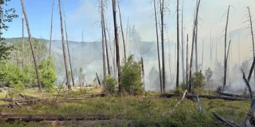 Улсын хэмжээнд 5 аймгийн 9 суманд 14 ой, хээрийн түймэртэй байна