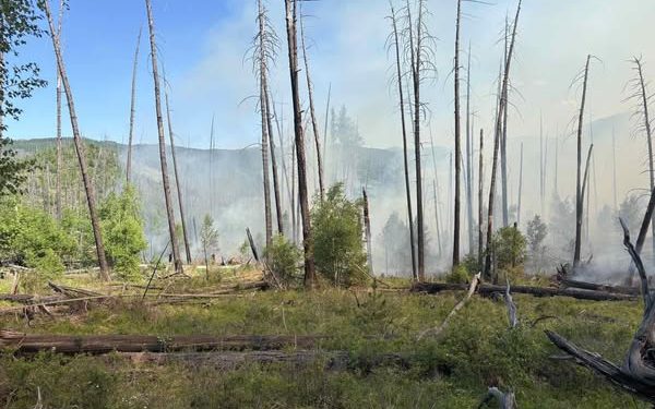 Улсын хэмжээнд 5 аймгийн 9 суманд 14 ой, хээрийн түймэртэй байна