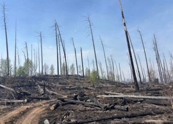 Энэ сард бүртгэгдсэн 59 ой хээрийн түймрээс 37 түймрийг бүрэн унтраалаа