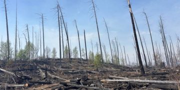 Энэ сард бүртгэгдсэн 59 ой хээрийн түймрээс 37 түймрийг бүрэн унтраалаа