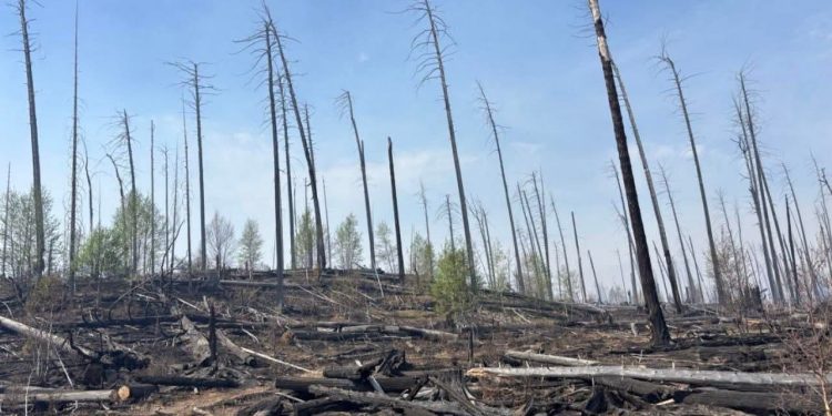 Энэ сард бүртгэгдсэн 59 ой хээрийн түймрээс 37 түймрийг бүрэн унтраалаа