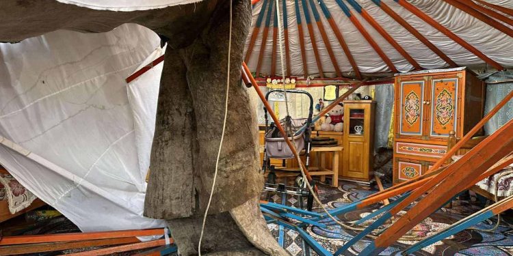 116 айлын гэр нурж, хашаа, байшингийн дээвэр хууларчээ