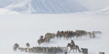 УОК: 2025-2026 оны өвөлжилт, хаваржилт хүндрэх эрсдэлтэй байна