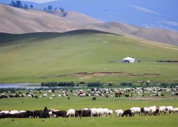 Хуулийн заалт: Малчны нэг хүүхдийг ХААИС-д үнэгүй сургана