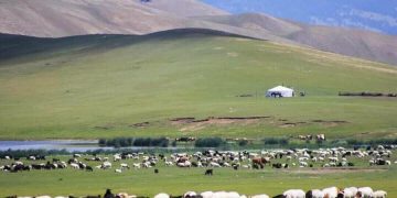 Хуулийн заалт: Малчны нэг хүүхдийг ХААИС-д үнэгүй сургана