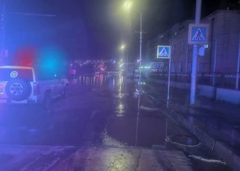 СЭРЭМЖЛҮҮЛЭГ: Тогтоол усан дахь цахилгааны утсанд тогонд цохиулжээ