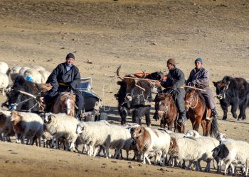 Отроор яваа малчдад харьяалал харгалзахгүй эрүүл мэндийн тусламж, үйлчилгээ үзүүлнэ