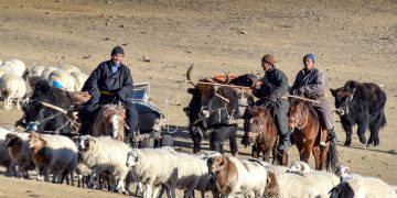 Отроор яваа малчдад харьяалал харгалзахгүй эрүүл мэндийн тусламж, үйлчилгээ үзүүлнэ