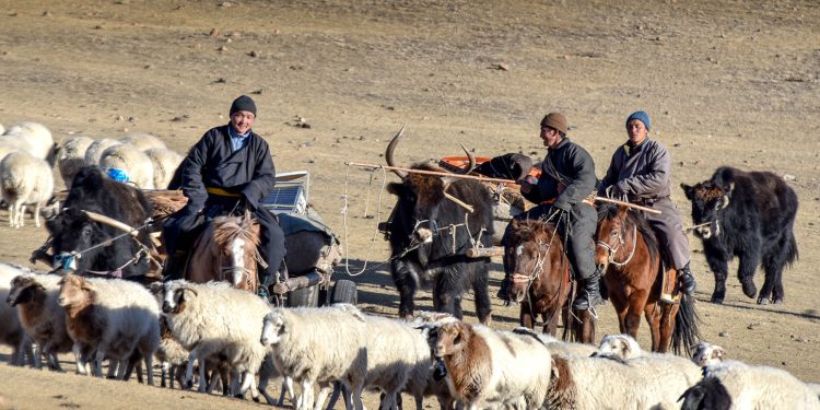Отроор яваа малчдад харьяалал харгалзахгүй эрүүл мэндийн тусламж, үйлчилгээ үзүүлнэ