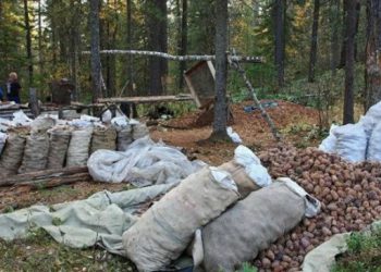Самарт яваад сураггүй болсон 46 настай эмэгтэйг эрэн хайж эхэллээ