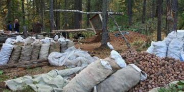 Самарт яваад сураггүй болсон 46 настай эмэгтэйг эрэн хайж эхэллээ