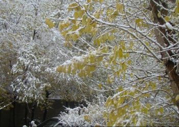 Ойрын 10 хоногийн цаг агаарын төлөв