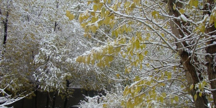 Ойрын 10 хоногийн цаг агаарын төлөв