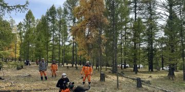Эрлийн ажиллагаанд "Могойн нүдэн дуран" ашиглаж байна