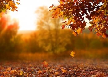 30-ныг хүртэл ихэнх нутгаар цаг агаар тогтуун, дулаан байна