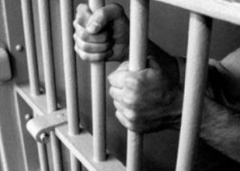 Хонь хариулж явсан охиныг хөнөөсөн этгээдэд бүх  насаар хорих ял оноолоо