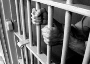 Эхнэрээ 23 хутгалж хөнөөсөн этгээдэд бүх насаар хорих оноолоо