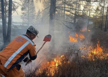 Хөвсгөлийн Цагааннуурт гарсан түймрийг цурманд орууллаа
