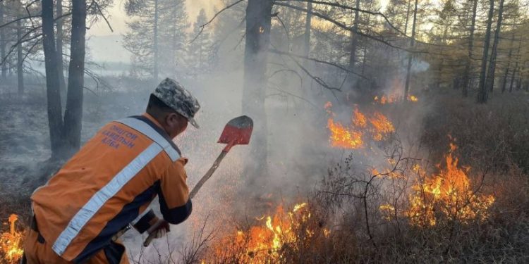 Хөвсгөлийн Цагааннуурт гарсан түймрийг цурманд орууллаа