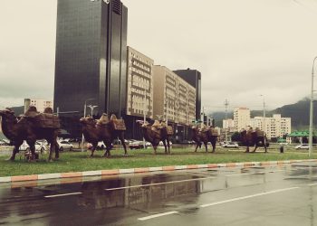 Нисэхийн тойргоос Тэмээтэй хөшөө хүртэлх авто замын нэгдүгээр эгнээгээр автобус зорчино