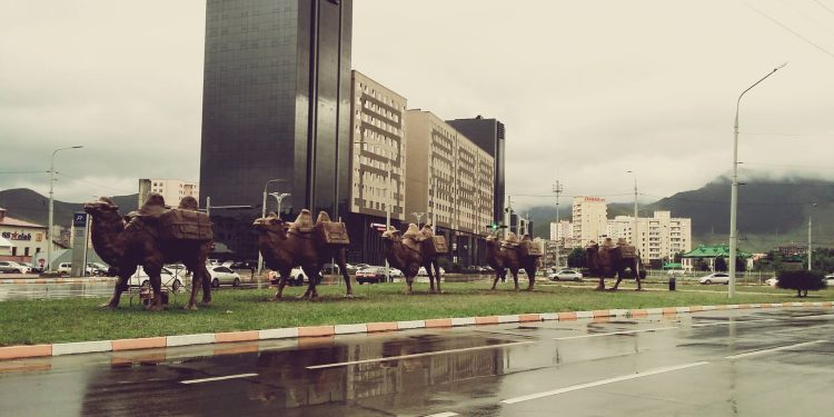 Нисэхийн тойргоос Тэмээтэй хөшөө хүртэлх авто замын нэгдүгээр эгнээгээр автобус зорчино