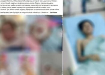 Хандив хүссэн иргэдийн мэдээллийг ашиглан 282 иргэнийг залилжээ