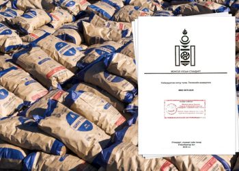 Сайжруулсан хатуу түлшний стандартыг шинэчлэн батлууллаа