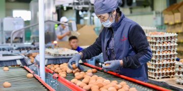 “Хүнсний хувьсгал”-ын үр дүнд 53 үйлдвэр ашиглалтад орлоо