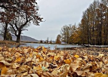 Ирэх долоо хоногт баруун, төв, зүүн аймгуудын нутгаар нойтон цас орно