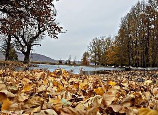 Ирэх долоо хоногт баруун, төв, зүүн аймгуудын нутгаар нойтон цас орно