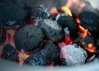 Хагас коксон түлшийг энэ сарын  08-наас худалдаанд гаргана