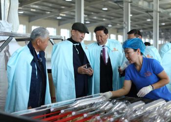 “Хүнсний хувьсгал”-ын дүнд зөвхөн нэг жилд 44 мянган ажлын байр бий боллоо