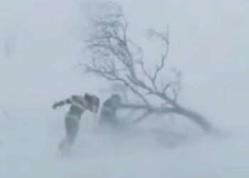 Цасан шуурганд төөрсөн гурван иргэний нэг нь амиа алджээ