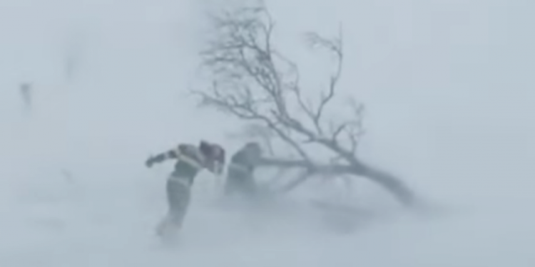 Цасан шуурганд төөрсөн гурван иргэний нэг нь амиа алджээ