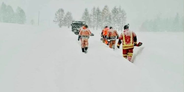 Төөрсөн, сураггүй болсон 15 иргэнийг эсэн мэнд оллоо