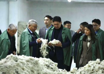 “Цагаан алт” хөтөлбөрийн үр дүнд анх удаа түүхий эдийн 50 хувийг дотоодын үйлдвэрлэгчид бэлтгэжээ